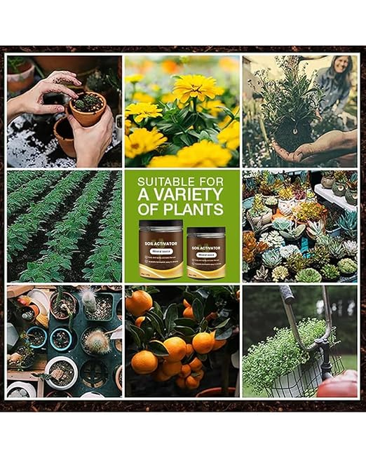 Activador de Suelo Líquido para Plantas, 5 Unidades miniatura 6