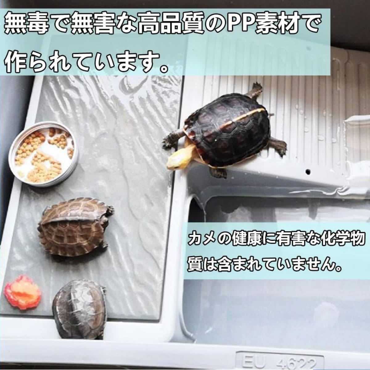 Amazon | TAYOA亀用 大型プラスチック タートルタンク 大型ケース生息