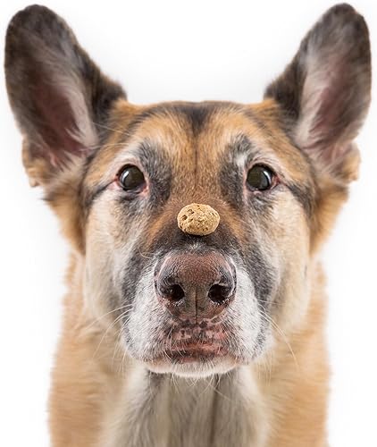 Miniatura 6 de What's Barking Mini bocados crujientes de mantequilla de maní  Golosinas prémium bajas en calorías para entrenamiento de perros, trigo, maíz, sin