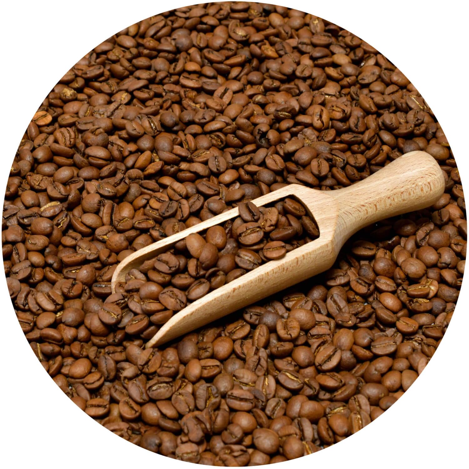 Coffee Broastery Uganda Kanyenye 1 kg – Caffè in Grani 100% Arabica, Tostatura Artigianale Fresca, Note di Fico, Noci e Cacao, Origine Tracciabile, Specialty Coffee