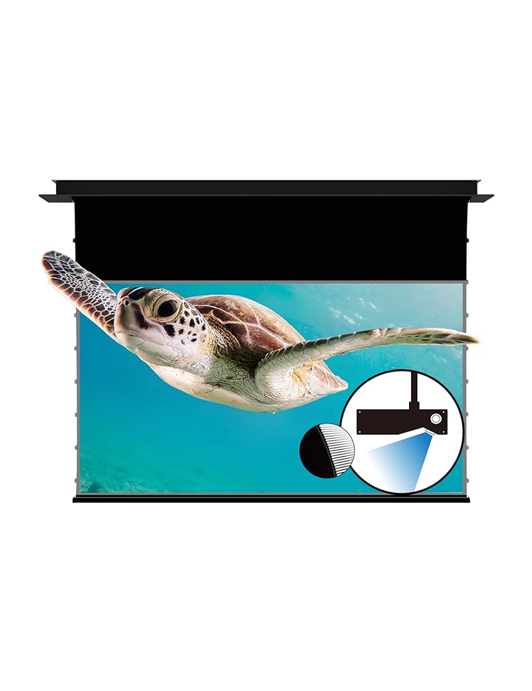 VIVID STORM SINCE 2004 100インチ Amazon | プロジェクター スクリーン 長焦点 VIVIDSTORM 4K 8K