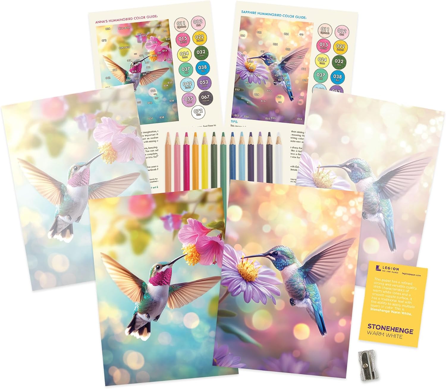 Grizaye Hummingbird Complete Drawing Kit Workshop for Adults | Realistic Bird Art Project, Create Finished Fine Art with 13 Colored Pencils, Step-by-Step Tutorial, Color Guide, and Reference Photos