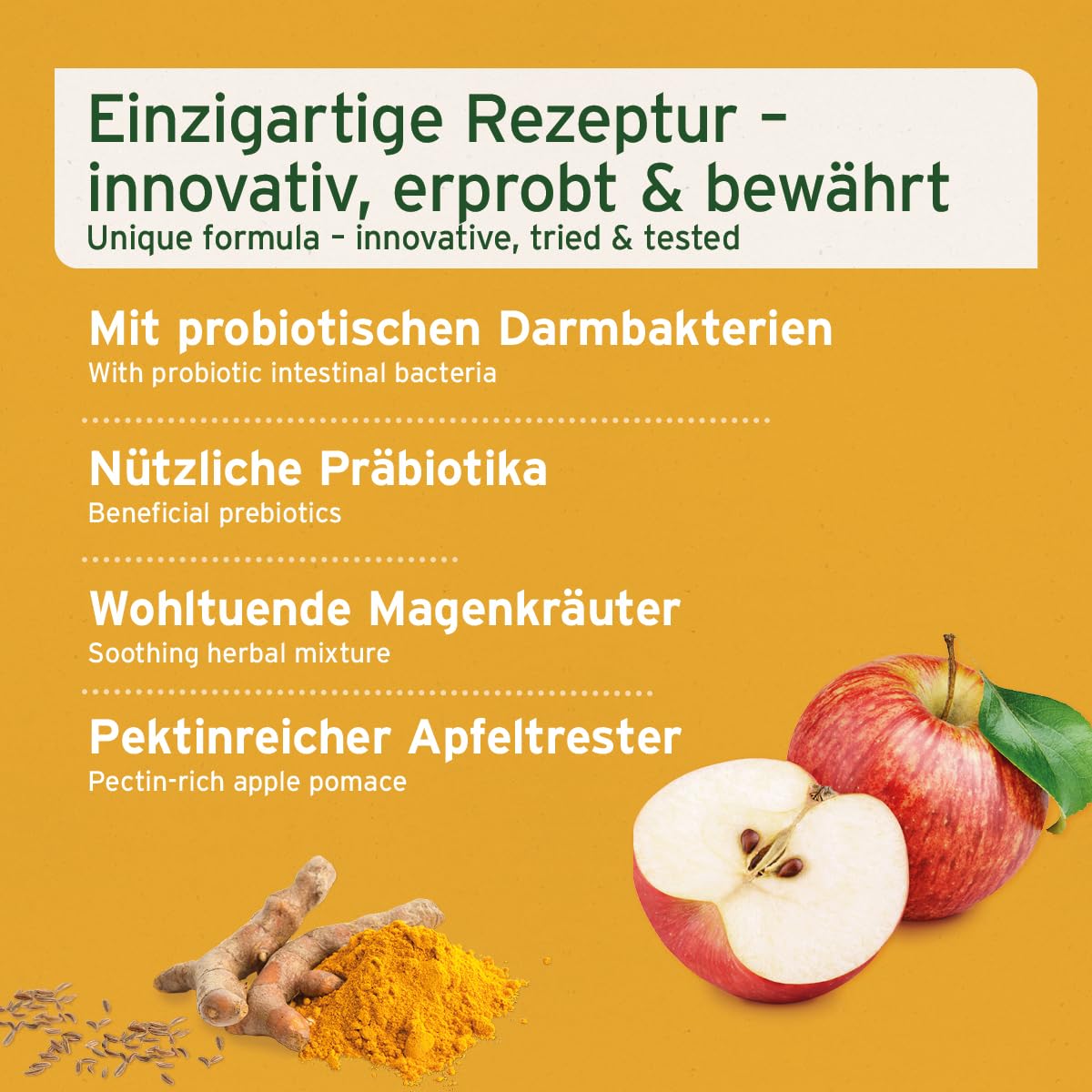 AniForte Plus Probiotikum Tabs für Hunde 90 Stück - Natürliche Präbiotika & Probiotika für Hunde, Stabilisiert die Verdauung & fördert eine gesunde Darmflora, mit aktiven Darmbakterien