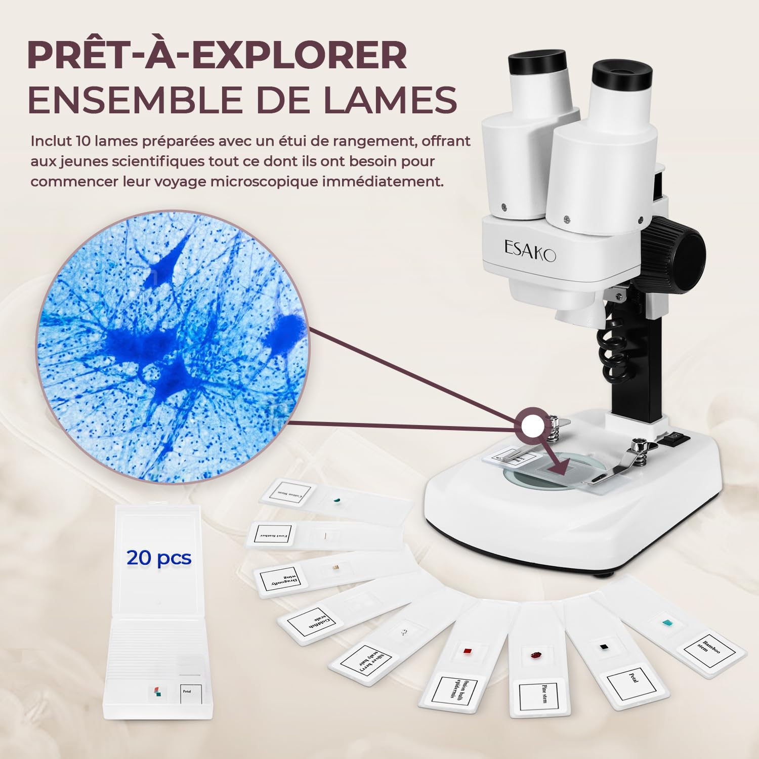 ESAKO Microscope pour Enfants à Double LED - Kit Scientifique avec 10 Lames préparées & 10 Lames Vierges