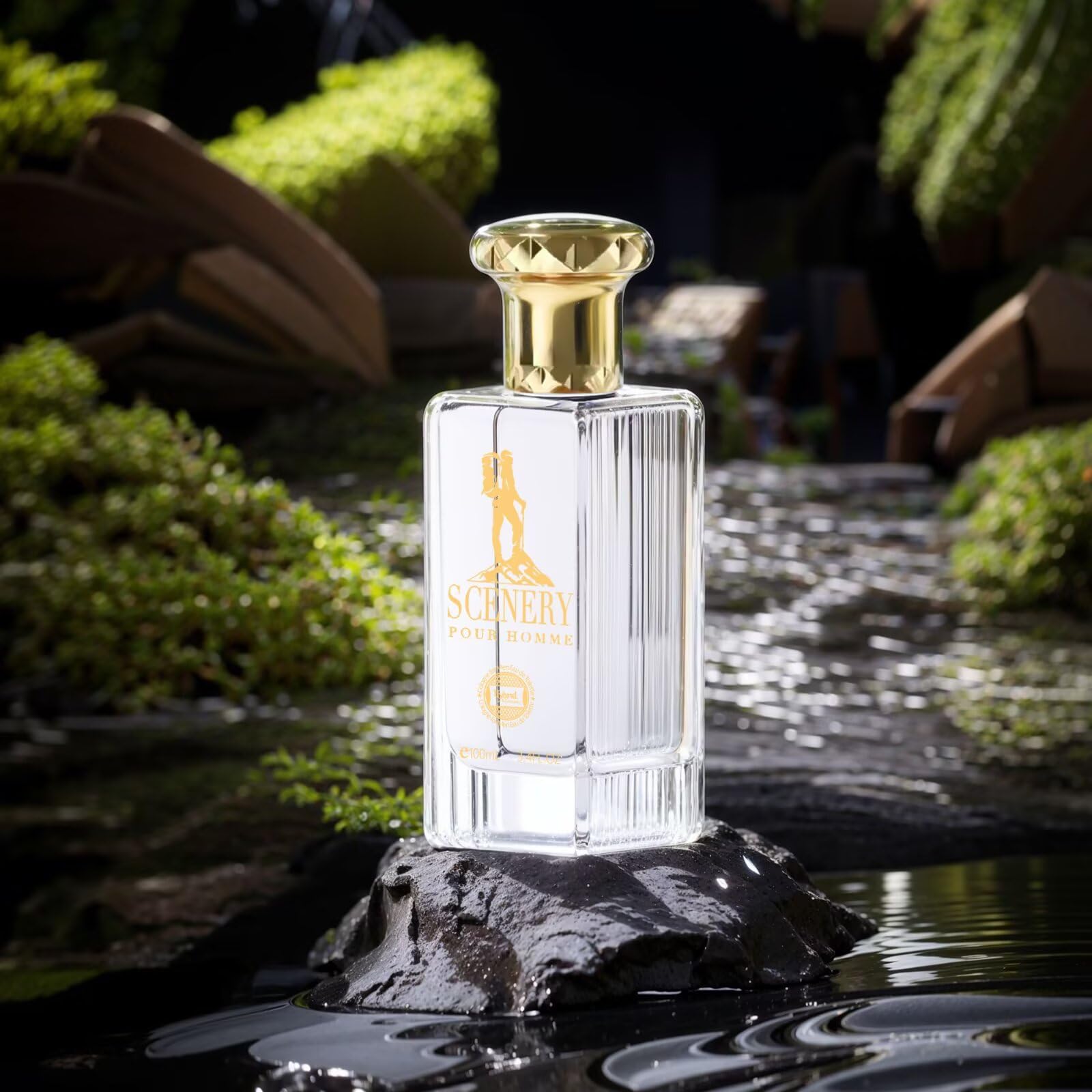 Amazon.com : Hybrid & Company Scenery Pour Homme For Men Eau De