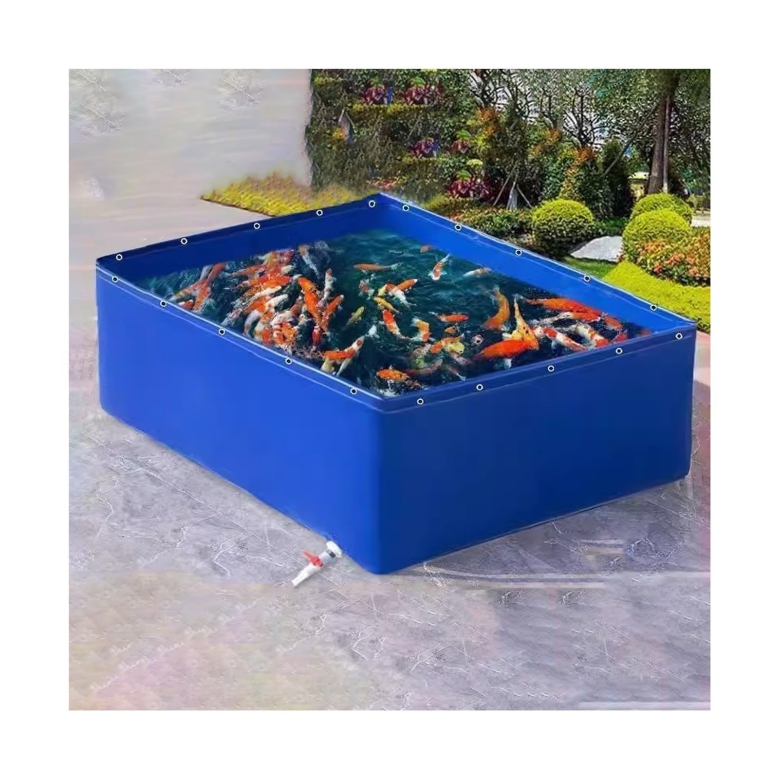 Bassin à poissons en toile avec vanne de vidange et réservoir d'eau pliable