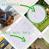 Vista 1294 de Razas de Perros 2017