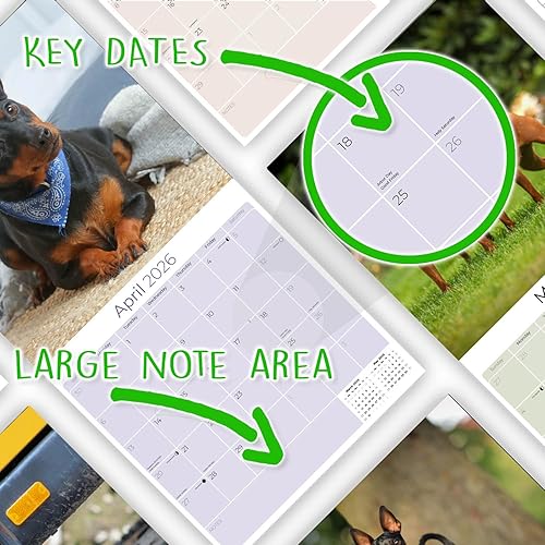 Miniatura 7 de Razas de Perros 2017