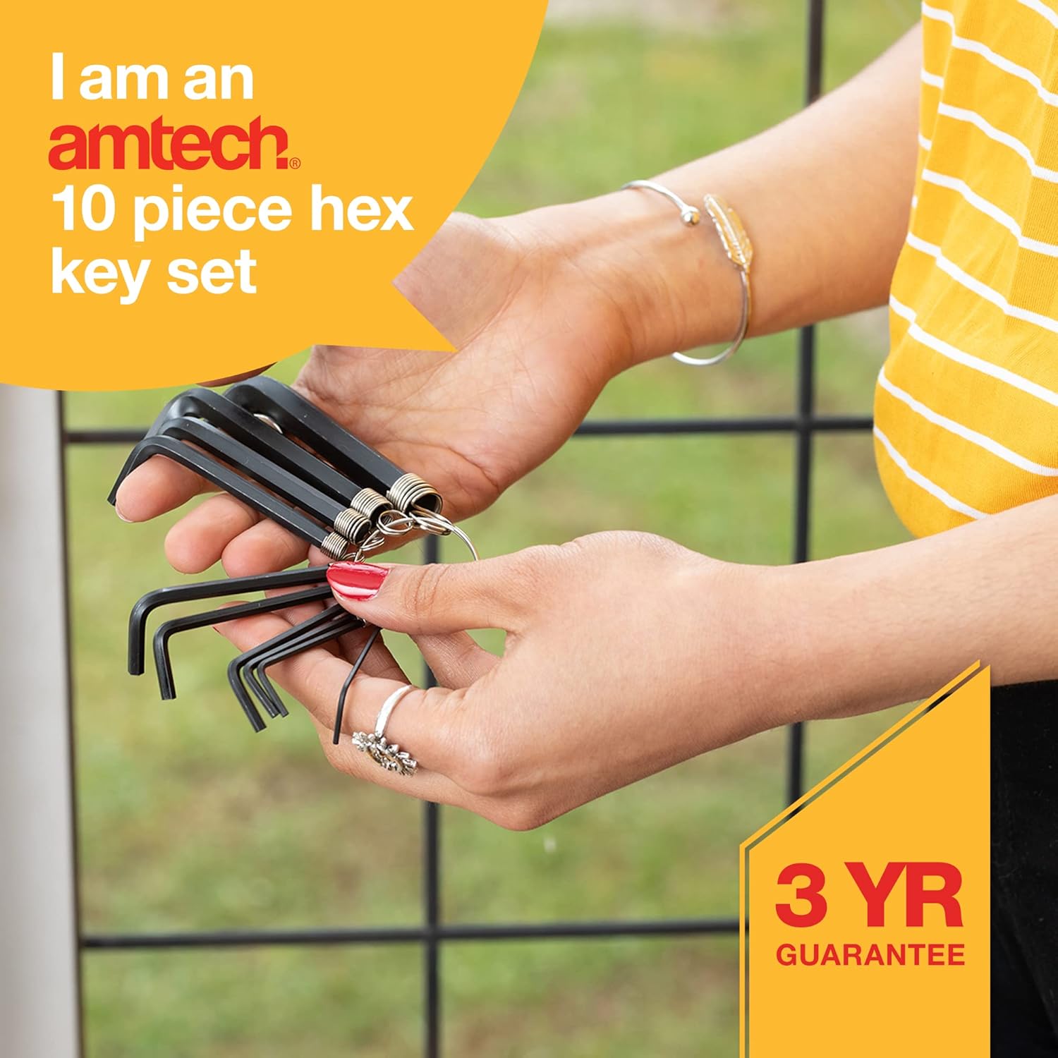 Amtech Amtec 10Pc Hex Key Set