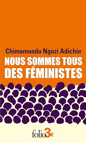 Nous sommes tous des féministes/Le danger de l'histoire unique