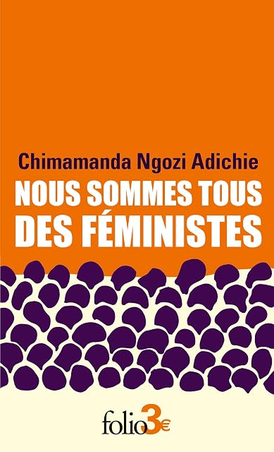 Portada de Nous sommes tous des féministes: Suivi de Le danger de l'histoire unique