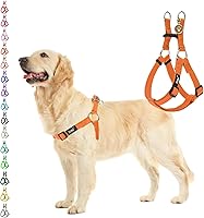 Vista 45 de PUPTECK Arnés para perro sin tirones, suave y ajustable, de nailon básico, chaleco para cachorros para caminar al aire libre con etiqueta
