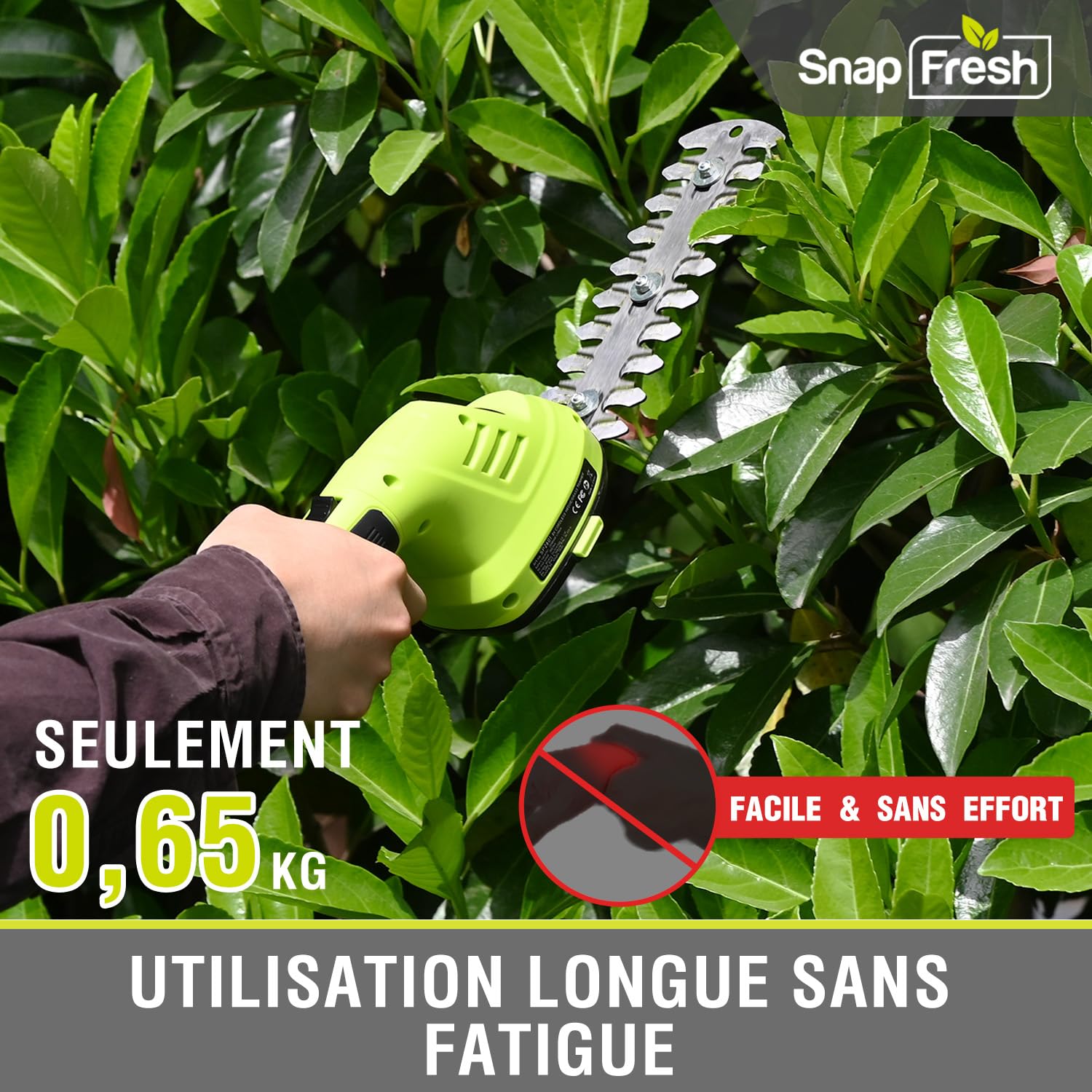 SnapFresh Mini Taille Haie sans Fil 8V Poignée Rotative Cisaille à Gazon avec Batterie 2 Lames CÂBLE USB-C 151mm 98mm