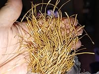 Review Image by Sarah (puzzle boss) Sarah (puzzle boss)