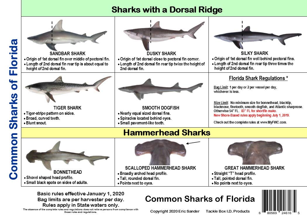 Buy Tackle Box I.D. Florida Saltwater Fish Identification Card Set
