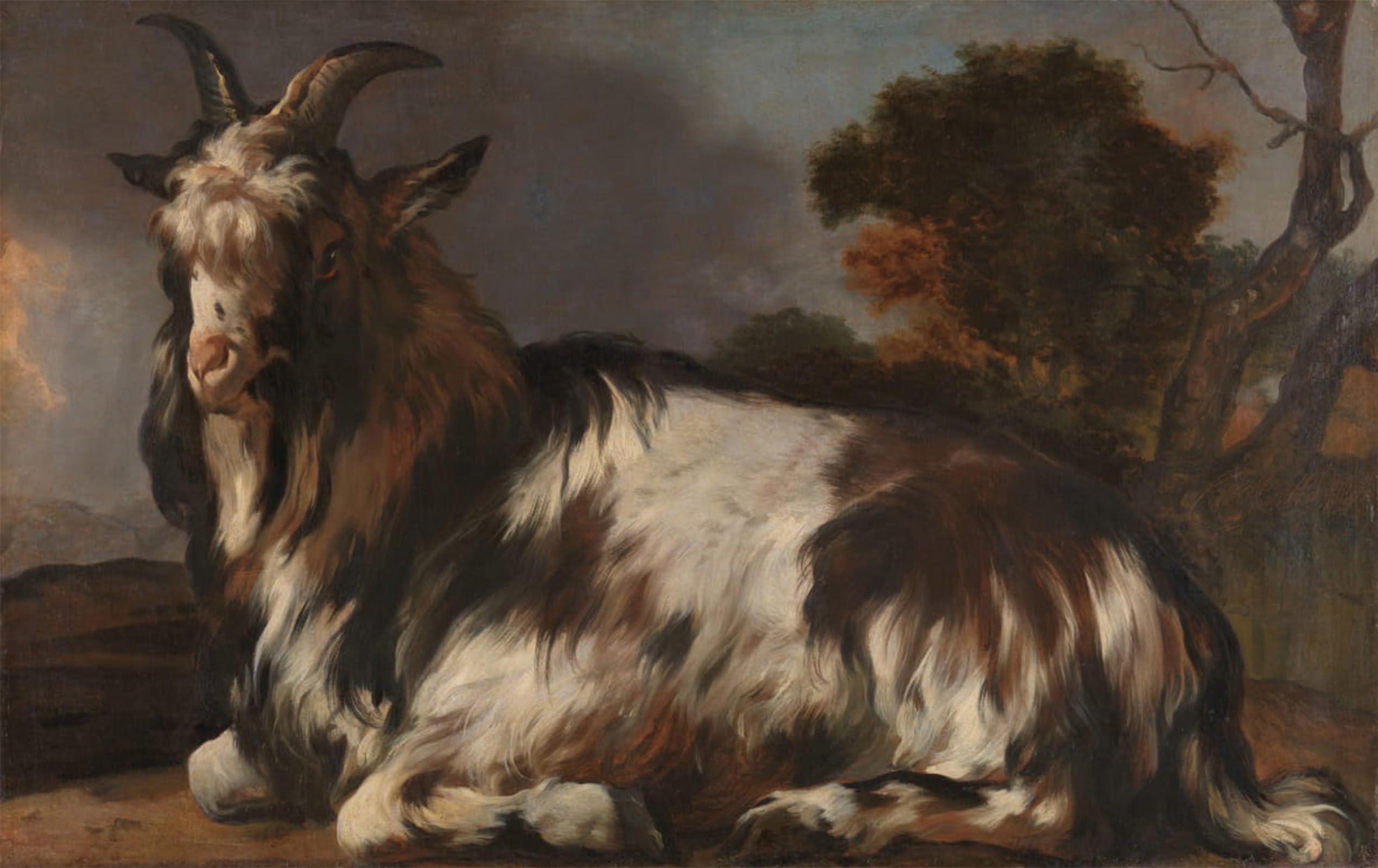 POSTERIIk Vintage Art Print Images Pictures Print Goat Lying Down by Jan Baptist Weenix Modern Colour Posters for Office Home Decor 60x90cm