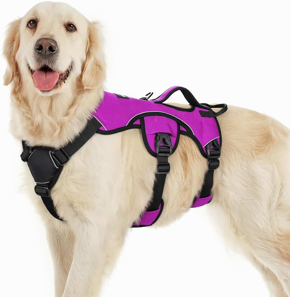 rabbitgoo Escape Proof Dog Harness with Lift Handle