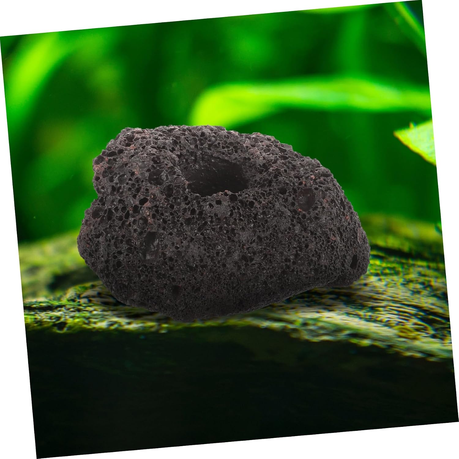 Mikikit 10pcs Volcanic Rocks Fixed Ring for Aquatic Plants Durable Fish Tank Plant Holder Base for Aquariums and