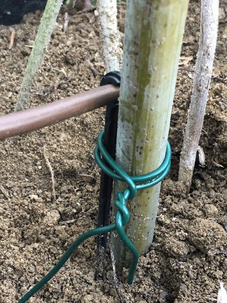 THE UM24 Garden Twine & Twist Ties for Tomato Plants, Climbing Roses, Vines, Cucumbers, Squash and Bonsai Training Wire 2mm Wrapping Cords- 50 Feet : Patio, Lawn & Garden