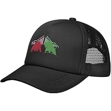 Bearish and Bullish in Stock Market Science Men/Women Adjustable Mesh Hat Dad Hats Fashion Baseball Cap Outdoor