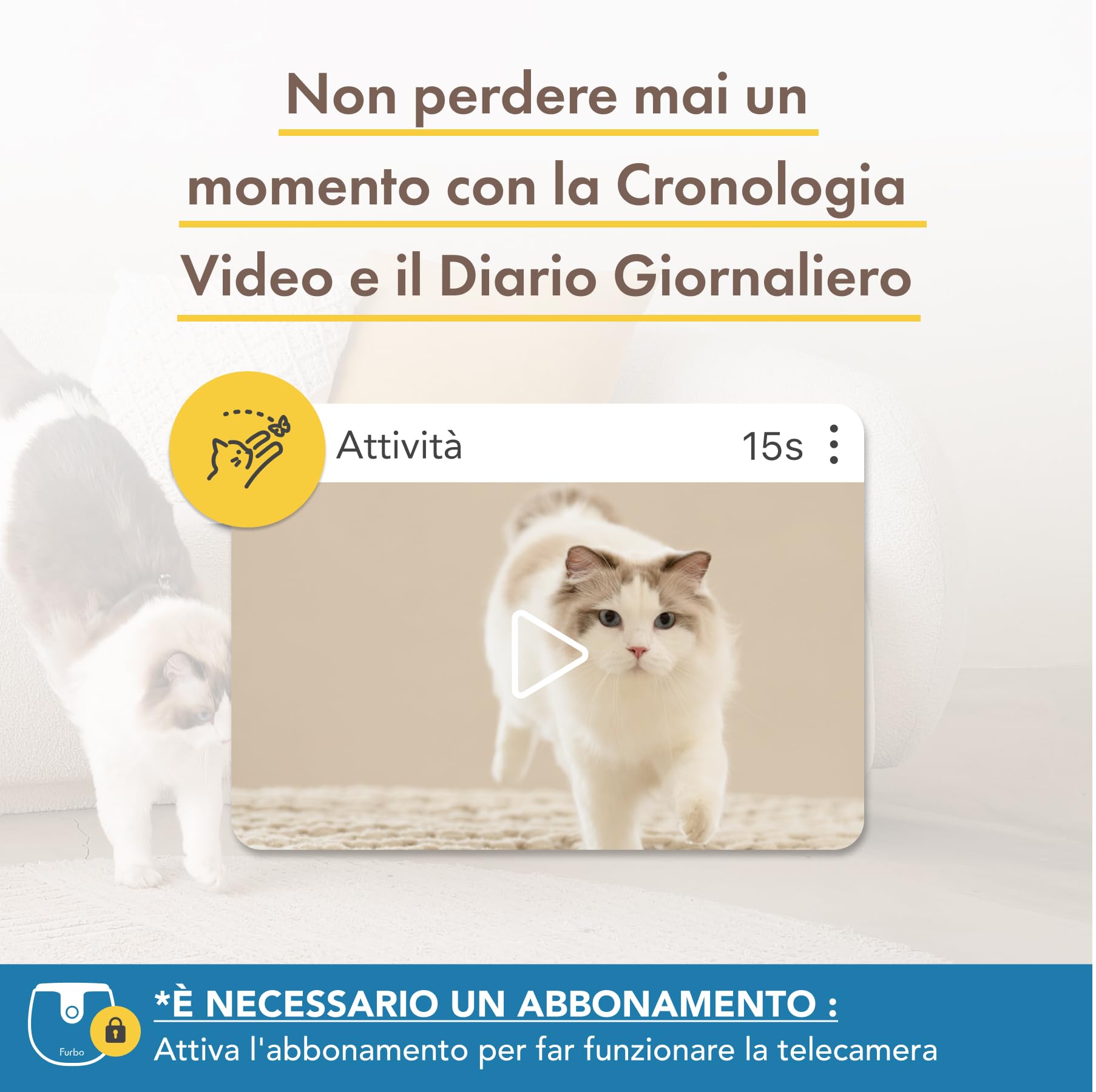 Furbo Mini Videocamera Pacchetto Sicurezza Casa [PREMIUM CON ABBONAMENTO]: Con app