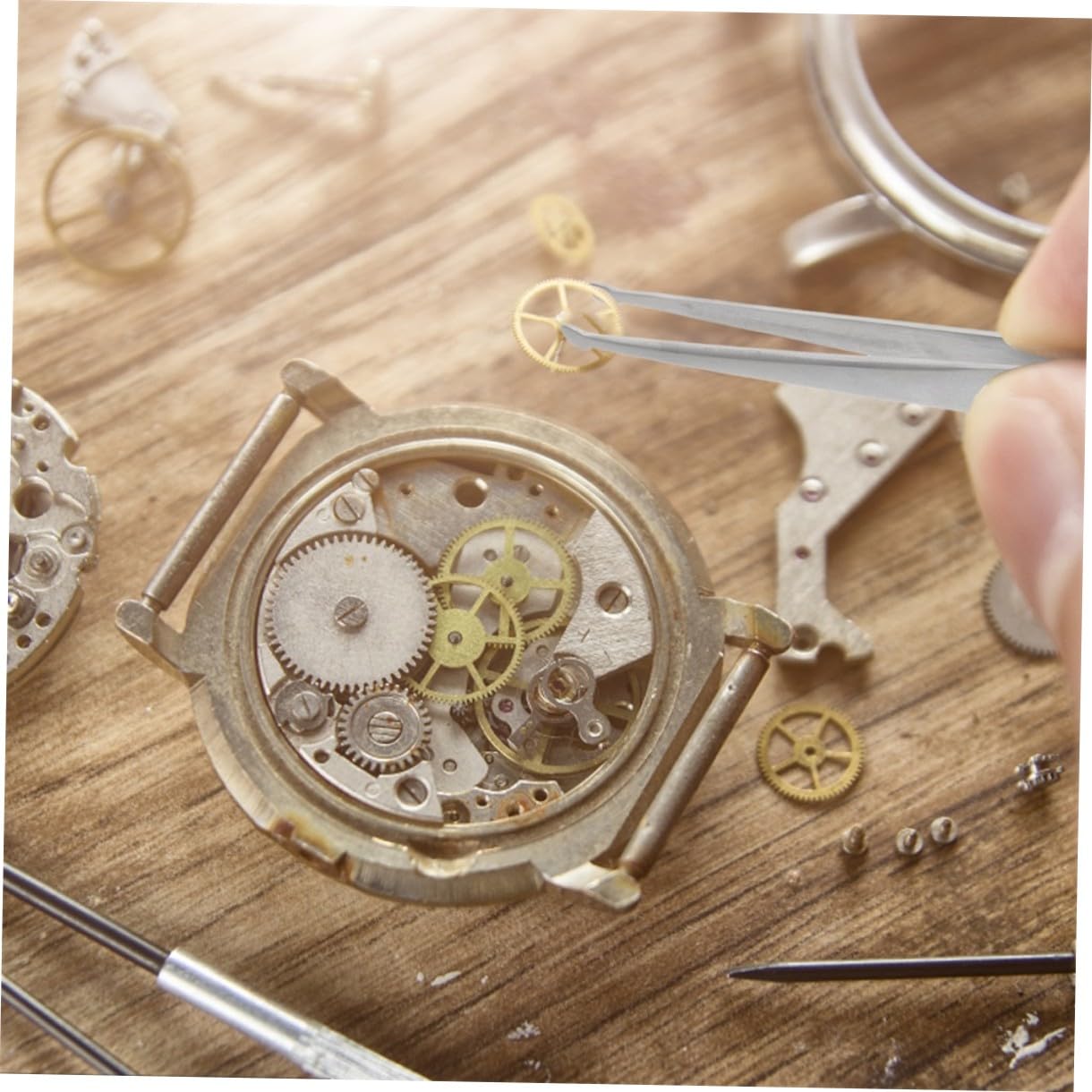 6stücke Präzisions Anti-statik Pinzetten Aus Edelstahl Ergonomische Stamp Pinzetten Für Philatelie Elektronik Schmuck Und Feine Handarbeiten Antimagnetisch Hochfest Und