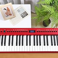 Vista 3 de C-811D - Piano digital con peso de 88 teclas, piano para principiantes, teclado eléctrico de tamaño completo con soporte, adaptador de corriente
