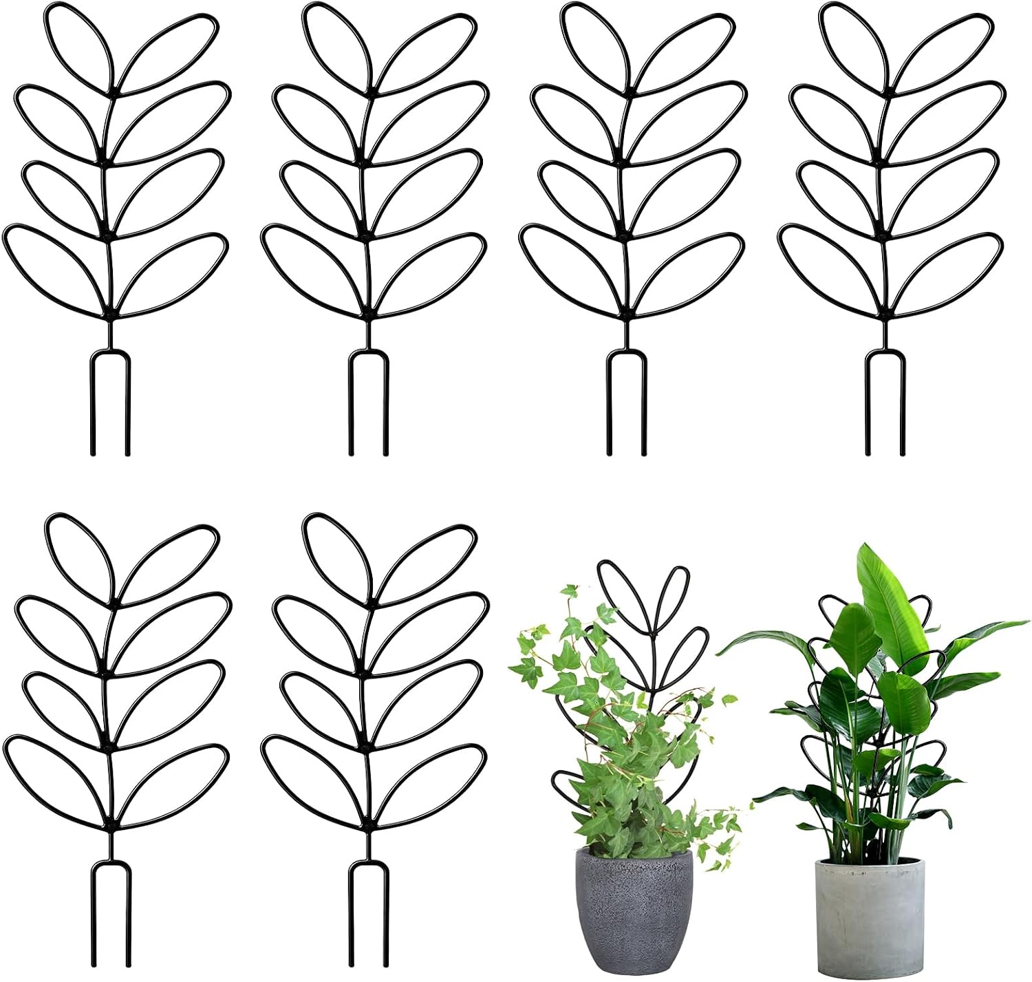 Pack of 6 Trellis Plant Support Indoor Plants Trellis for Monstera Flowers and Plants Hoya Garden