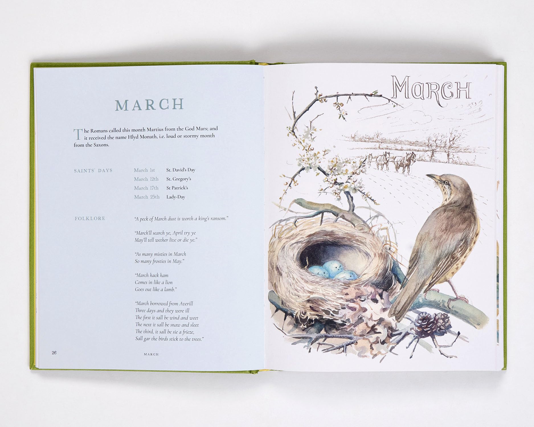 Nature Notes of an Edwardian Lady