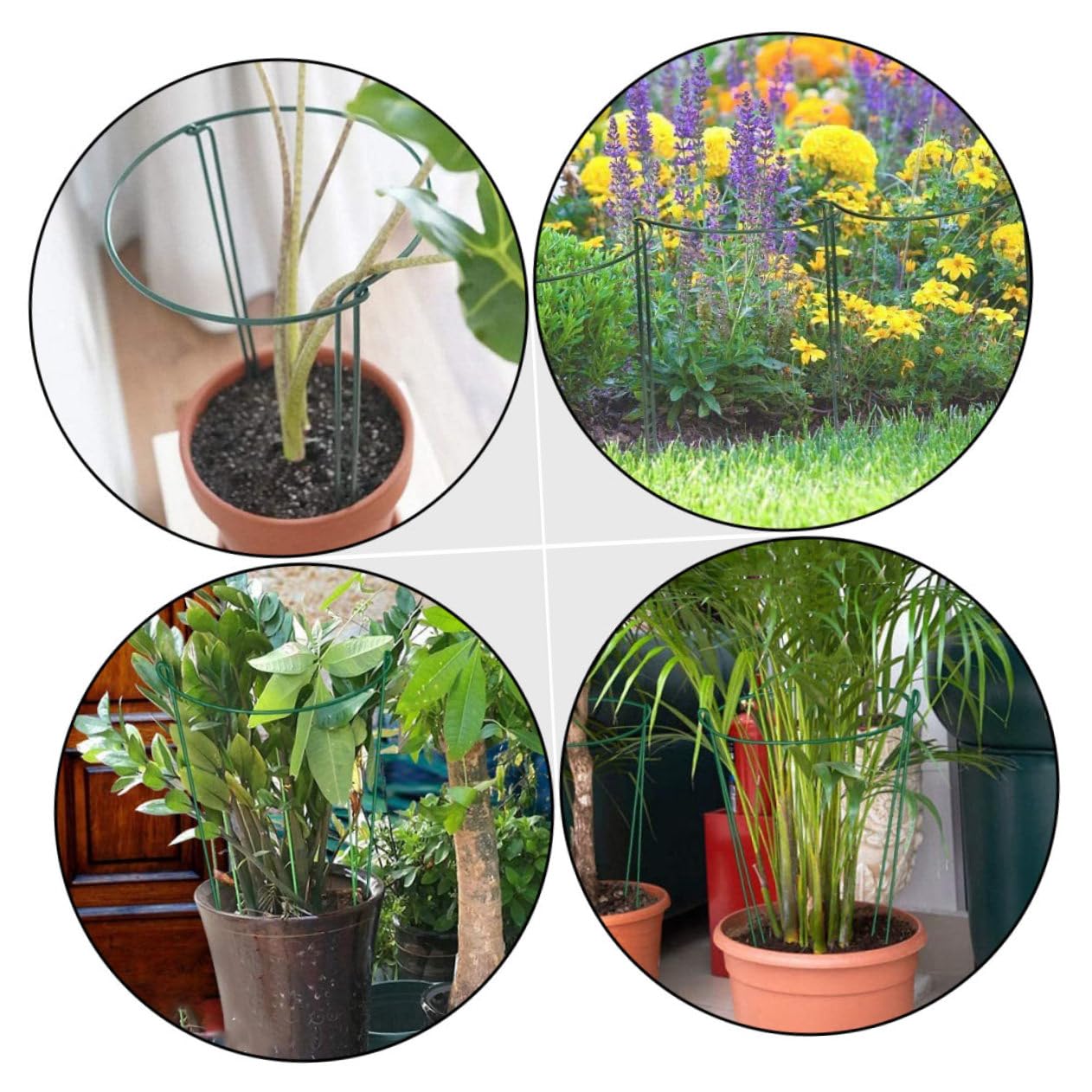 Lot de 6 Tuteurs de Plantes en Fer Vert, Réutilisables, pour Tiges Droites et Végétaux Grimpants, pour Créer Un Espace Vert Individuel au Jardin