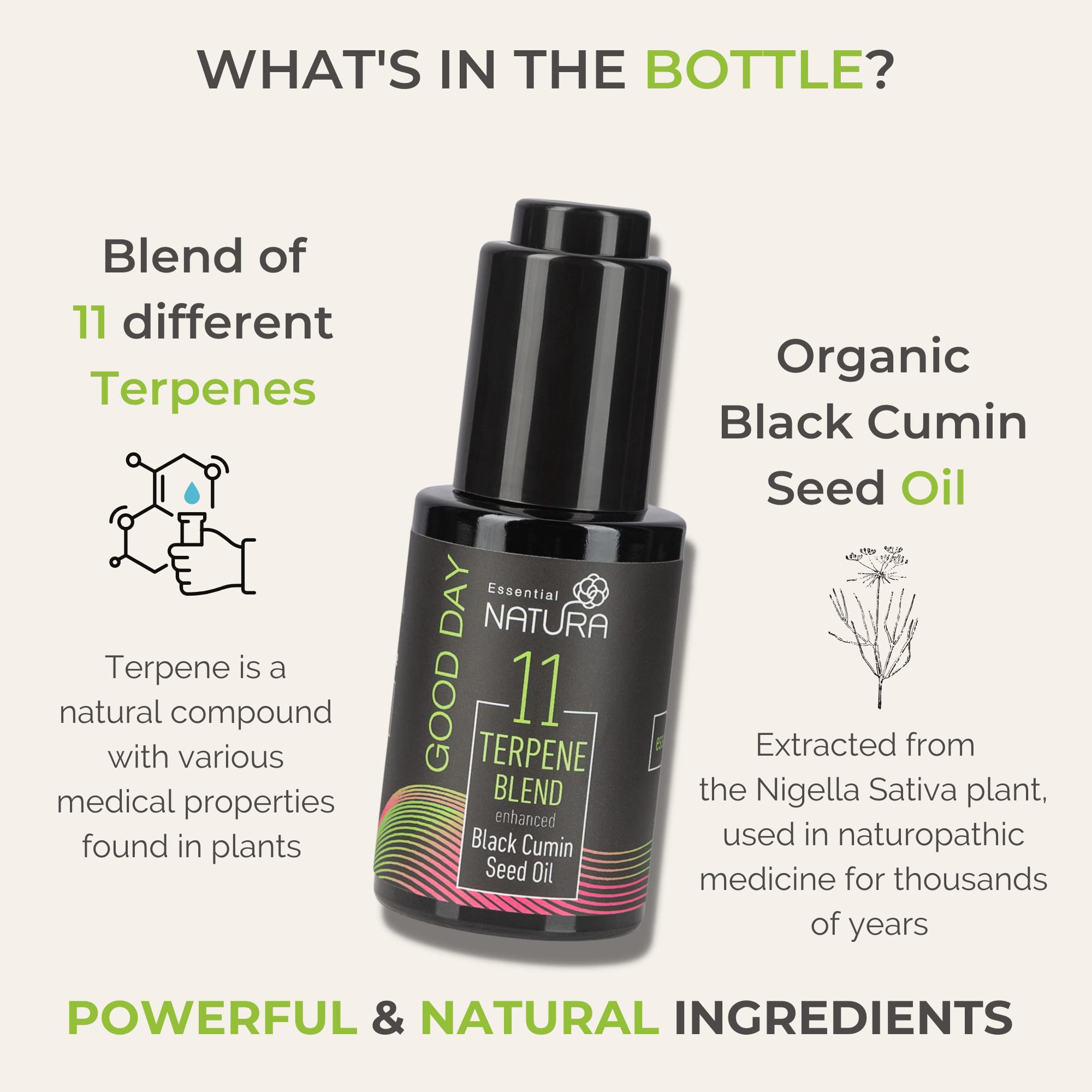 Gut Aid for Digestion, Bloating & Pain Relief 30ml NonGMO, Plant