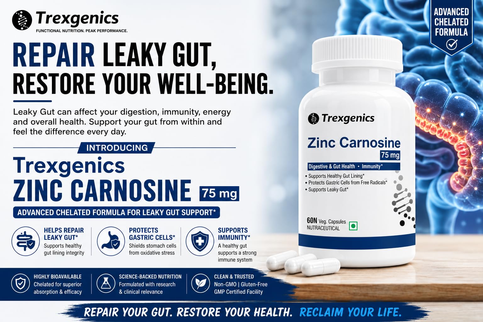 Trexgenics ZINC CARNOSINE Digestive & Gut Health, Ulcer Care, Immunity, Leaky Gut Support (60 Veg Capsules) — Amazon image 4