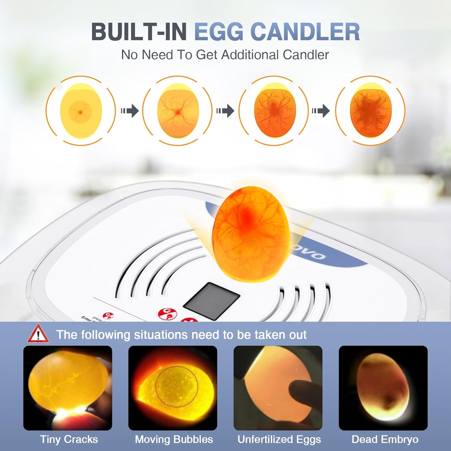 Sailnovo Egg Incubator with built-in egg candler and examples of egg development
