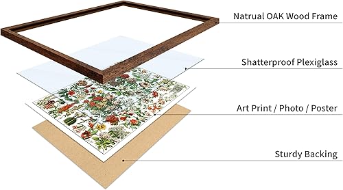 Miniatura 351 de Poster Master Póster vintage de orquídea, estampado de flores retro, arte de pared de plantas exóticas, arte botánico, regalo para hombres y