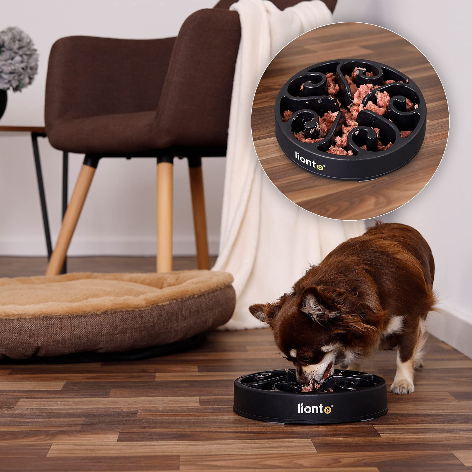 lionto Ciotola per cani Ciotola anti-ingozzamento Ciotola antiscivolo Ciotola per Gatti Ciotola per cani anti-ingozzamento Ciotola per cibo, 20x5 cm Nero