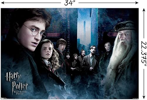 Vista 46 de Trends International Harry Potter y el príncipe mestizo - Póster de pared de la fraternidad, 22.375 x 34 pulgadas, versión premium sin marco