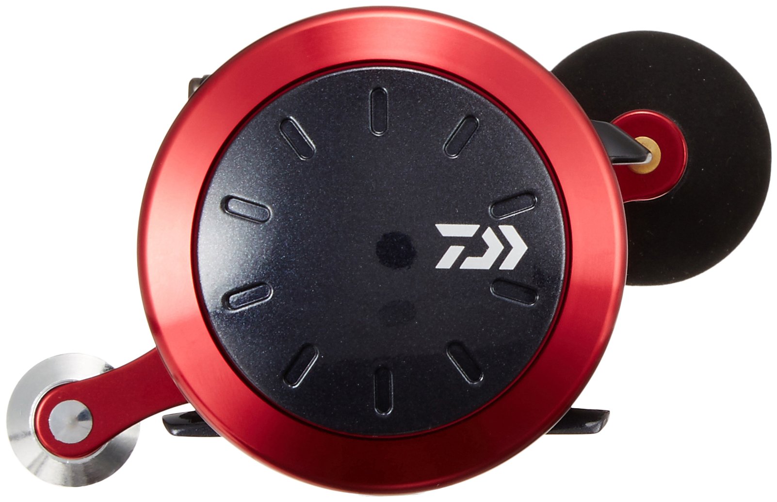 Amazon | ダイワ(DAIWA) 両軸リール 17 ダイナスター 250(2017モデル