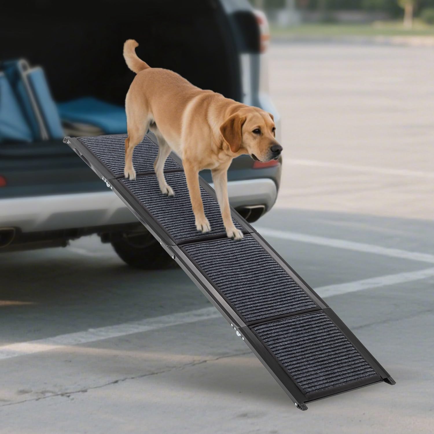 PawHaven Folding Dog Ramp Non-Slip Pet Ramp for Cars Sofa Bed – Dog Steps for Car, Large & Small Dogs, Lightweight Portable, 170X44CM