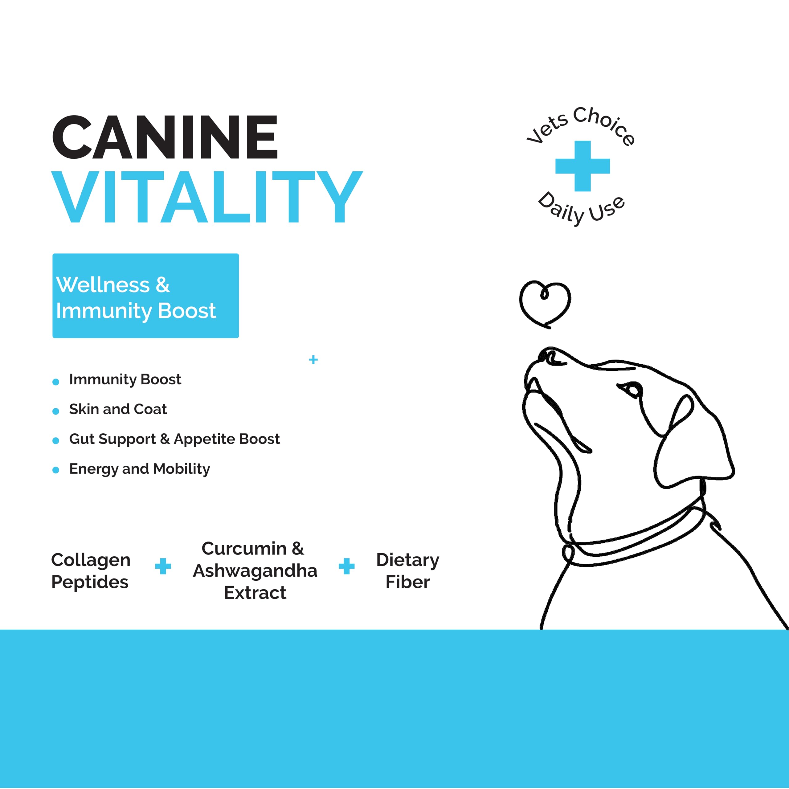 Goofy Tails Canine Vitality+ (100Mlx5Pack) Dog Immuity Booster, Dog Coat Supplement, Gut Supplement, Boosted with Curcuminoids, Ashwagandha, Prebiotics & Collagen for Dogs 1