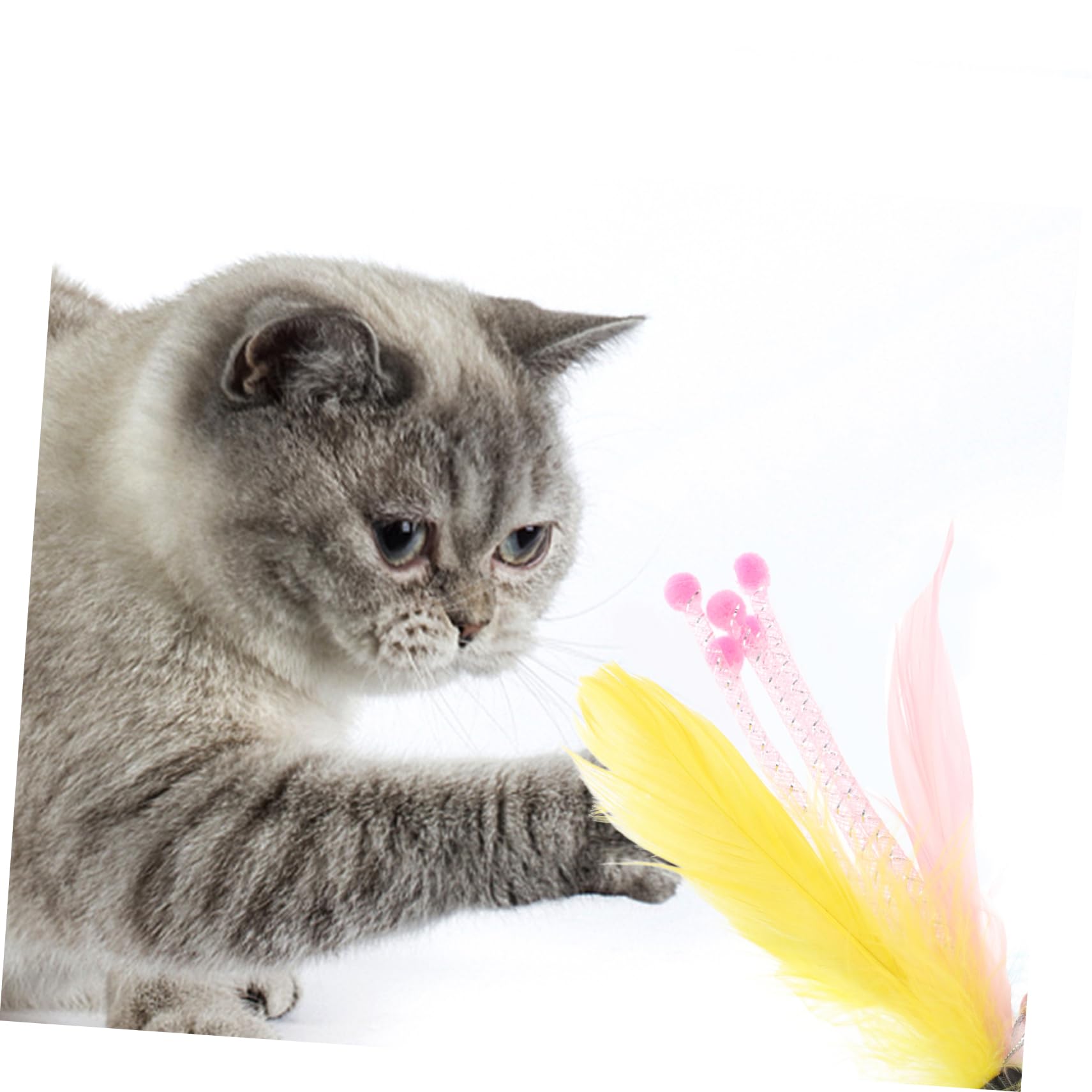 SUPVOX Lot De 5 Jouets pour Chat À Souples Jouets Adaptés À L'âge des Chatons Et des Seniors 8 Pièces X 5