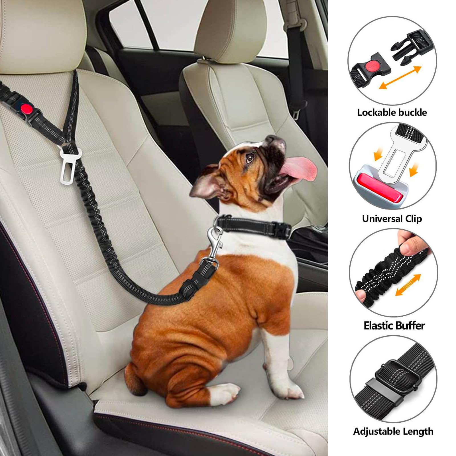 Amazon.com : Removable Dog Seat Belt Harness for Car, 3 in 1 Pet Car  Seatbelt Leash, Retractable Restraint Secures to Vehicle Headrest &  Adjustable Reflective Dog Seatbelt Tether (Light Blue&Black, 2pcs) : Pet  Supplies