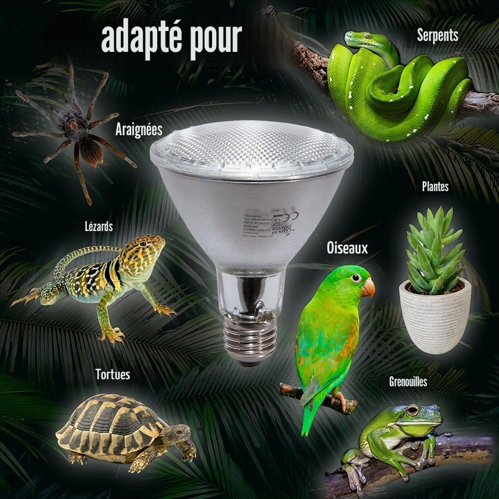 Spot halogène UV - Spot chauffant pour terrariums (75 W)