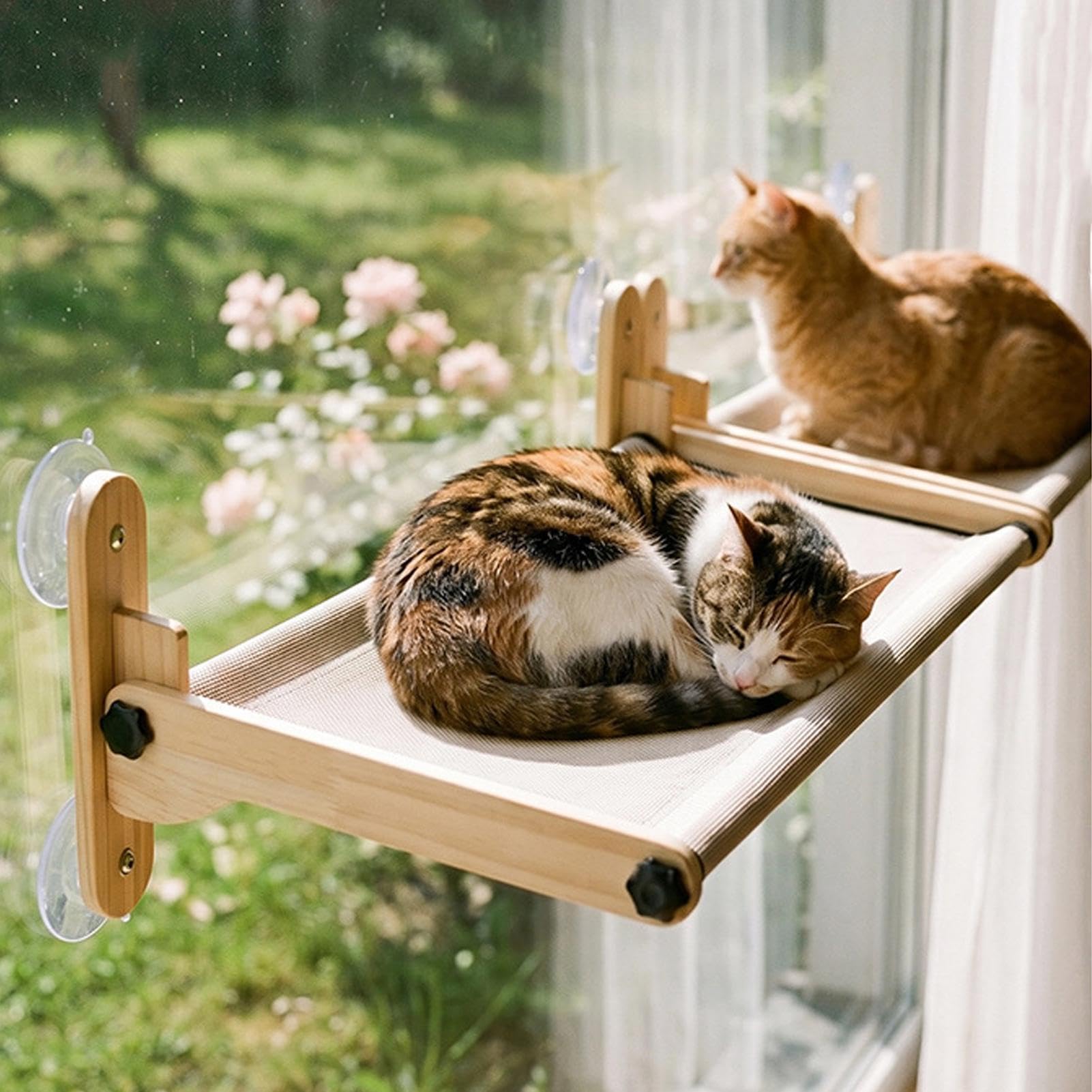 Posatoio da finestra per gatti con ventose | da Gatto da Finestra Regolabile in Rete Traspirante per Tutte le Stagioni Appartamento, Balcone, Davanzale, Lato , Casa, e