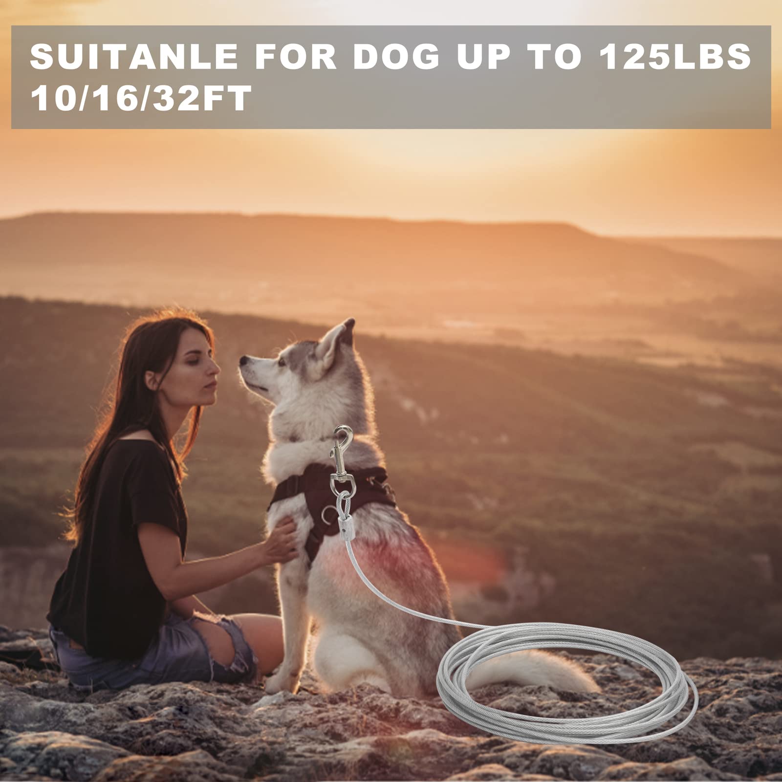 CLKHOWL Dog Tie Out Cable, 32FT Long, Silver, Up to 125Ibs, Heavy Duty Dog Lead Line for Outdoor, Yard, Camping 4