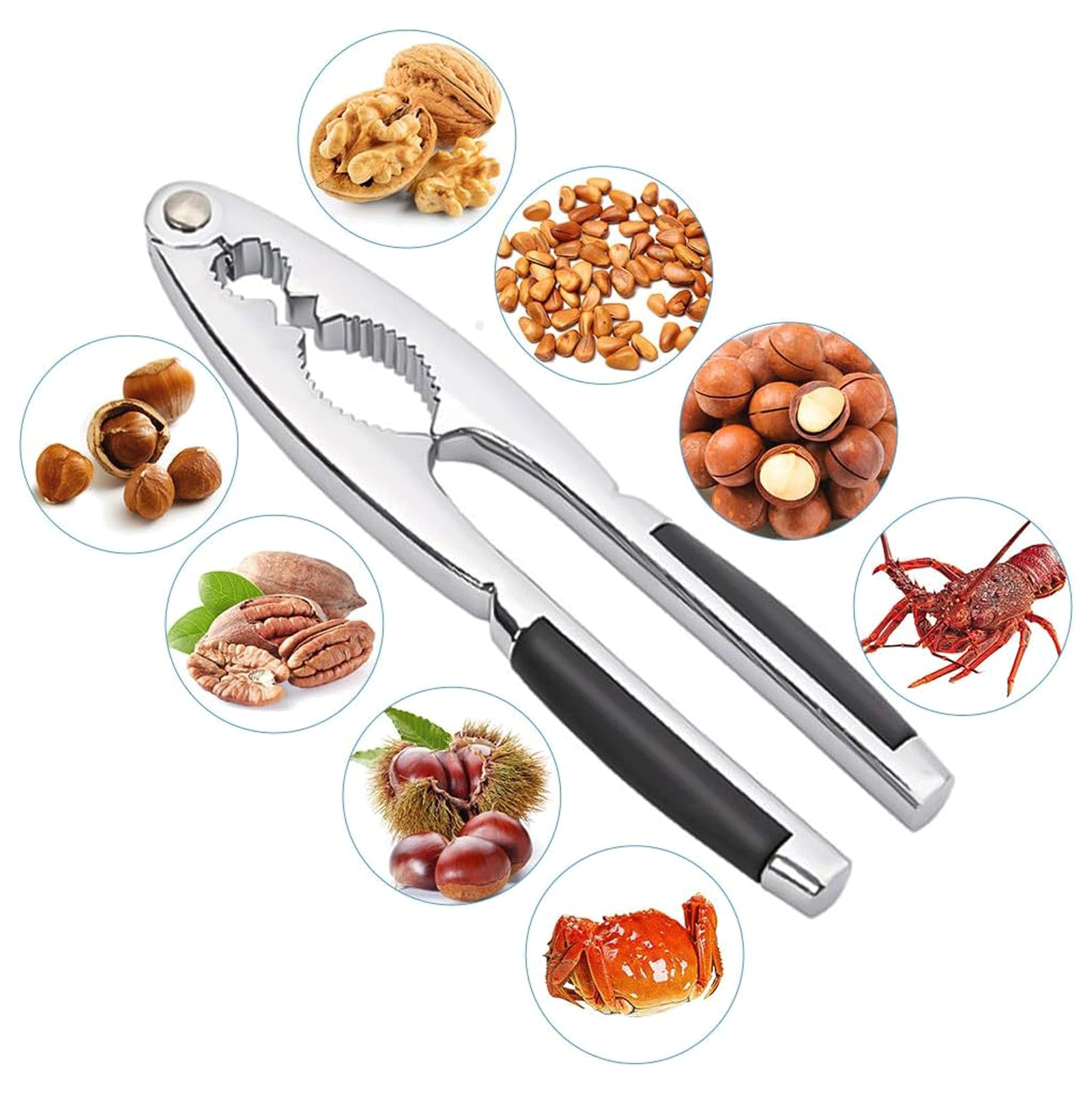 Décortiqueur de Noix Manuel, Outil Casse-Noisette, Outils de Crabe et de Homard, Pinces à Noisettes, craquelin de Fruits de mer, appliquer au Restaurant et à la Maison