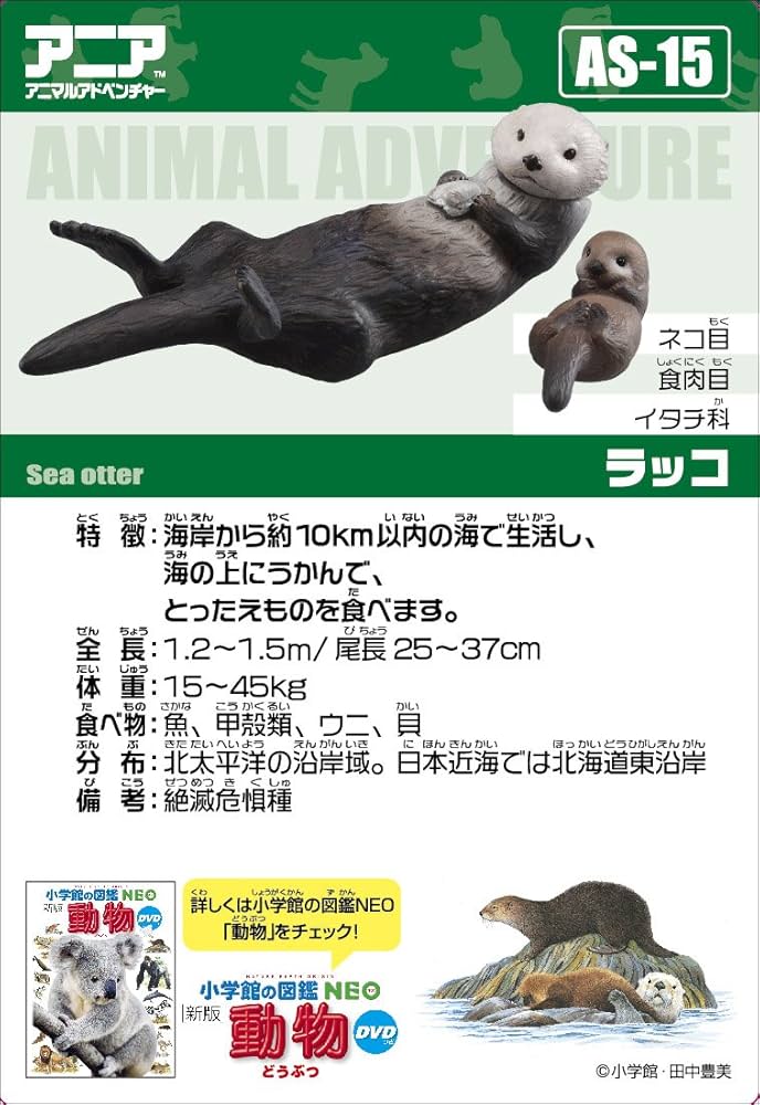 TAKARATOMY　タカラトミー　いっぱい食べる動物が好き　ラッコ　らっこ TAKARATOMY タカラトミー いっぱい食べる動物が好き ラッコ