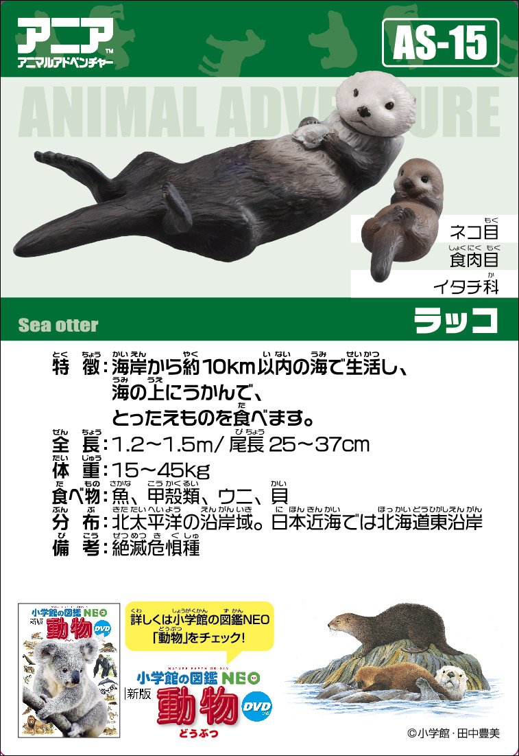 アニア AS-15 ラッコ: Amazon.de: Toys