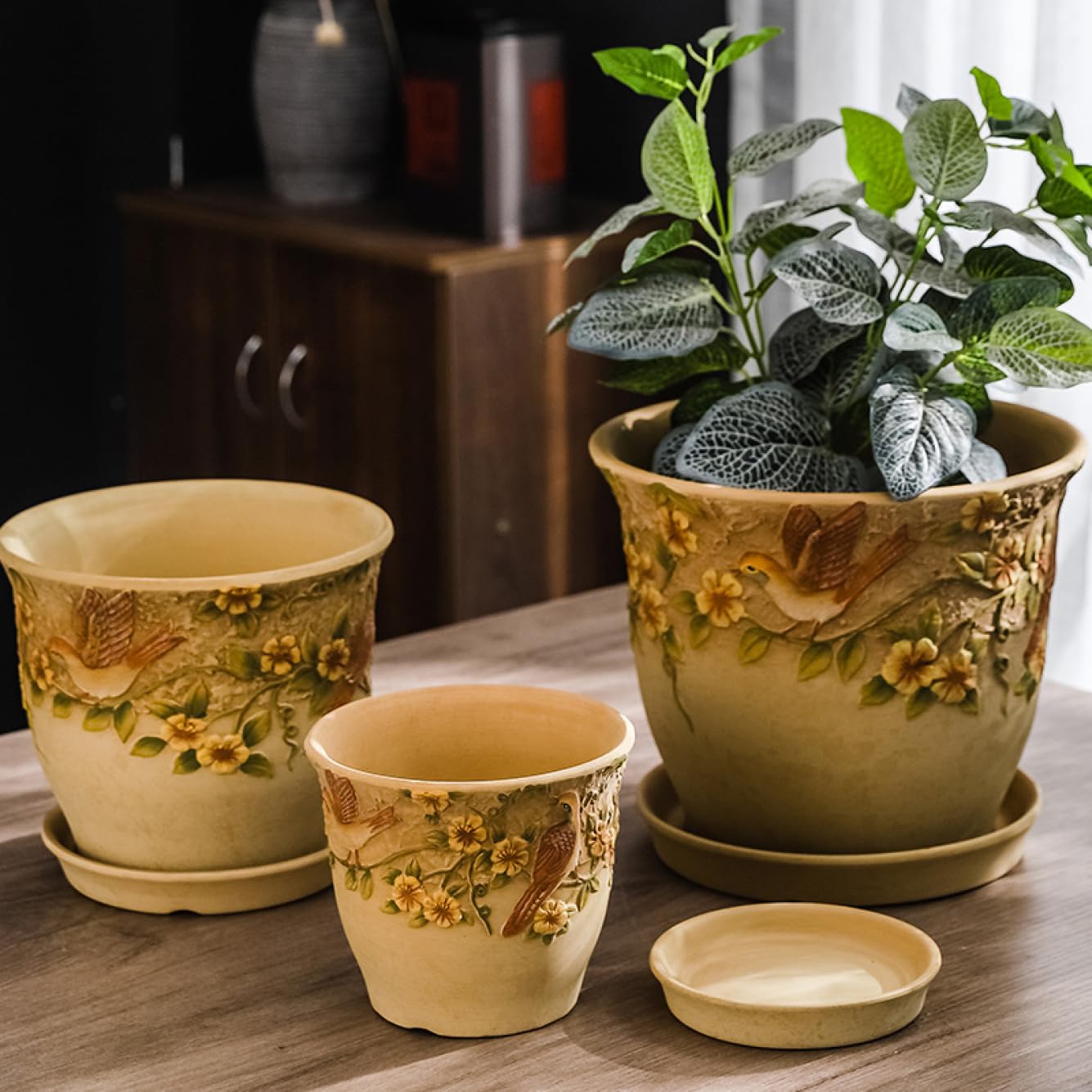 Amazon.co.jp: サボテン鉢 観葉植物鉢 素焼き鉢 アンティーク 植木鉢穴