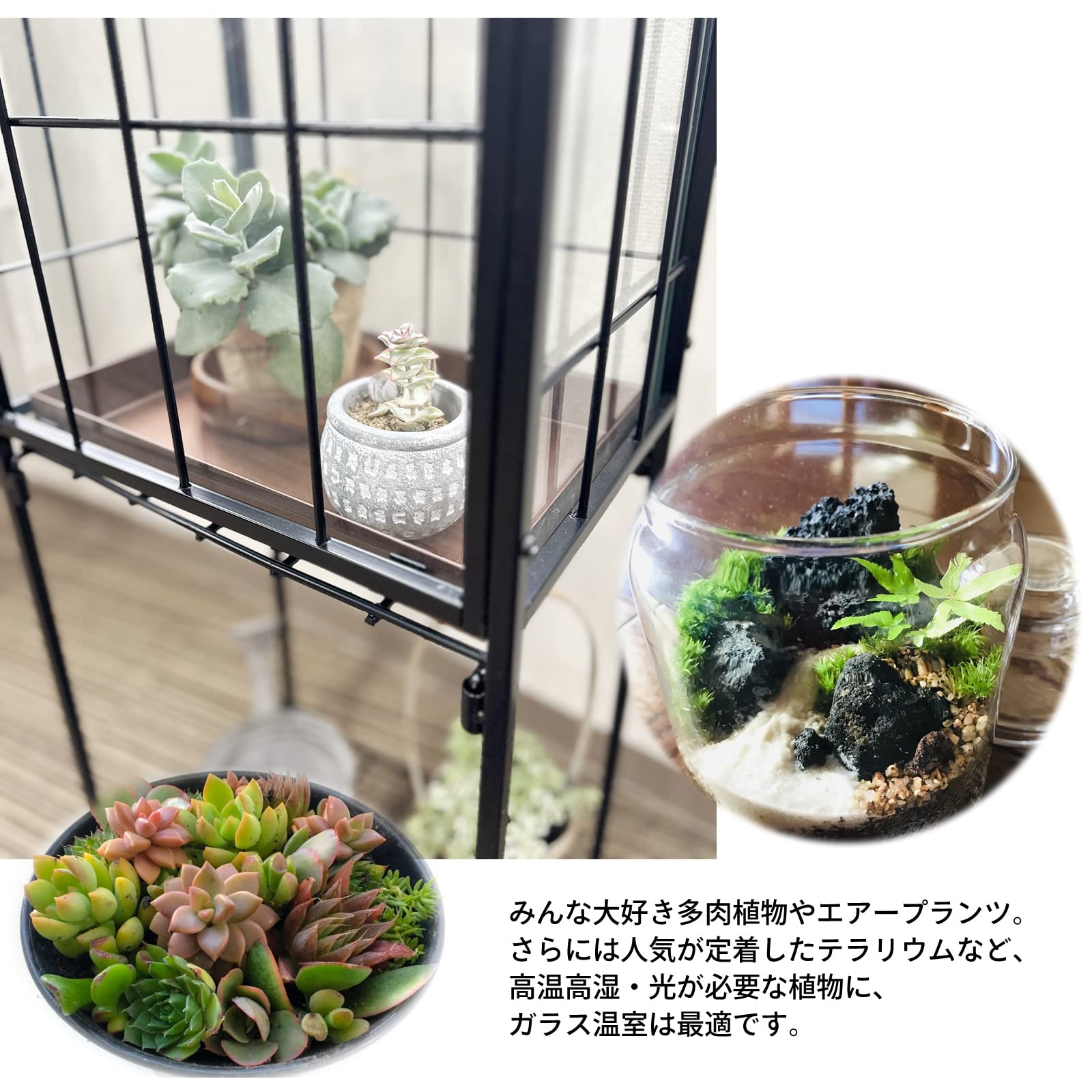 Amazon.co.jp: ガーデンガーデン ワーディアンケース 小型温室 園芸 