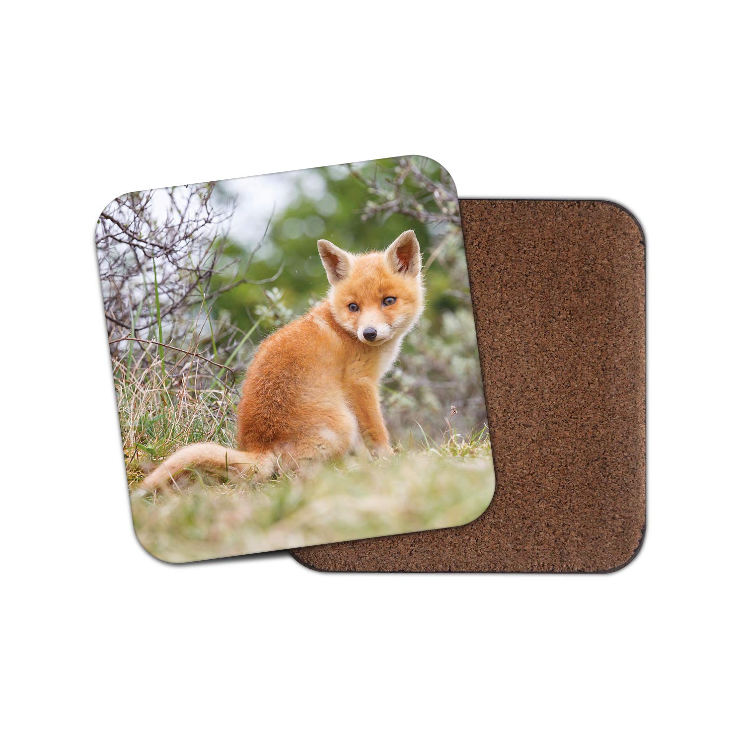 Destinationvinyl Multicolor 1 X Ginger Baby Fox Coaster - Cute Wildlife Animal Wild Dad Mum #15612